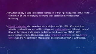 RNA technology is used to suppress expression of fruit ripening genes so that fruits
can remain on the vine longer, extending their season and availability for
marketing.
Friedrich Miescher discovered nucleic acids ('nuclein') in 1868. After that time,
scientists realized there were different types of nucleic acids and different types of
RNA, so there is no single person or date for the discovery of RNA. In 1939,
researchers determined RNA is responsible for protein synthesis. In 1959, Severo
Ochoa won the Nobel Prize in Medicine for discovering how RNA is synthesized.
June 17 136
 