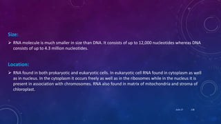 Size:
 RNA molecule is much smaller in size than DNA. It consists of up to 12,000 nucleotides whereas DNA
consists of up to 4.3 million nucleotides.
Location:
 RNA found in both prokaryotic and eukaryotic cells. In eukaryotic cell RNA found in cytoplasm as well
as in nucleus. In the cytoplasm it occurs freely as well as in the ribosomes while in the nucleus it is
present in association with chromosomes. RNA also found in matrix of mitochondria and stroma of
chloroplast.
June 17 138
 