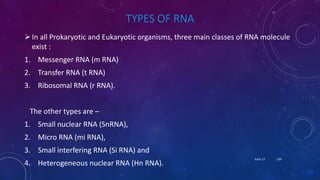 TYPES OF RNA
In all Prokaryotic and Eukaryotic organisms, three main classes of RNA molecule
exist :
1. Messenger RNA (m RNA)
2. Transfer RNA (t RNA)
3. Ribosomal RNA (r RNA).
The other types are –
1. Small nuclear RNA (SnRNA),
2. Micro RNA (mi RNA),
3. Small interfering RNA (Si RNA) and
4. Heterogeneous nuclear RNA (Hn RNA).
June 17 139
 