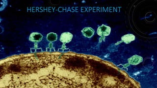 HERSHEY-CHASE EXPERIMENT
June 17 14
 