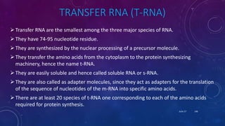 TRANSFER RNA (T-RNA)
Transfer RNA are the smallest among the three major species of RNA.
They have 74-95 nucleotide residue.
They are synthesized by the nuclear processing of a precursor molecule.
They transfer the amino acids from the cytoplasm to the protein synthesizing
machinery, hence the name t-RNA.
They are easily soluble and hence called soluble RNA or s-RNA.
They are also called as adapter molecules, since they act as adapters for the translation
of the sequence of nucleotides of the m-RNA into specific amino acids.
There are at least 20 species of t-RNA one corresponding to each of the amino acids
required for protein synthesis.
June 17 146
 