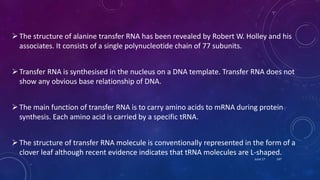 The structure of alanine transfer RNA has been revealed by Robert W. Holley and his
associates. It consists of a single polynucleotide chain of 77 subunits.
Transfer RNA is synthesised in the nucleus on a DNA template. Transfer RNA does not
show any obvious base relationship of DNA.
The main function of transfer RNA is to carry amino acids to mRNA during protein
synthesis. Each amino acid is carried by a specific tRNA.
The structure of transfer RNA molecule is conventionally represented in the form of a
clover leaf although recent evidence indicates that tRNA molecules are L-shaped.
June 17 147
 