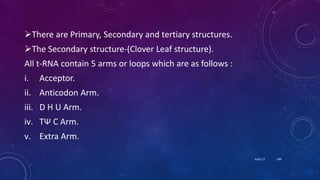 There are Primary, Secondary and tertiary structures.
The Secondary structure-(Clover Leaf structure).
All t-RNA contain 5 arms or loops which are as follows :
i. Acceptor.
ii. Anticodon Arm.
iii. D H U Arm.
iv. TѰ C Arm.
v. Extra Arm.
June 17 149
 