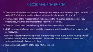 RIBOSOMAL RNA (R-RNA)
The mammalian ribosome contains two major nucleoprotein subunits- a larger one with
weight 2.8 x 106 and a smaller subunit with a molecular weight of 1.4 x 106.
The functions of the Ribosomal RNA molecules in the ribosomal particle are not fully
understood, but they are important for ribosomal assembly.
They also play a keen role in binding RNA to ribosomes and it’s translation.
rRNA component also performs peptidyl transferase activity and thus is an enzyme called
as Ribozyme.
It occurs in combination with protein as ribonucleoprotein in the minute round particles
called ribosomes which are attached to the surfaces of the intracellular membrane
system called- endoplasmic reticulum.
It constitutes about 80% of the total RNA of the cell. June 17 153
 
