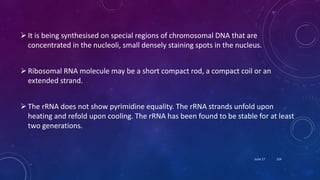 It is being synthesised on special regions of chromosomal DNA that are
concentrated in the nucleoli, small densely staining spots in the nucleus.
Ribosomal RNA molecule may be a short compact rod, a compact coil or an
extended strand.
The rRNA does not show pyrimidine equality. The rRNA strands unfold upon
heating and refold upon cooling. The rRNA has been found to be stable for at least
two generations.
June 17 154
 