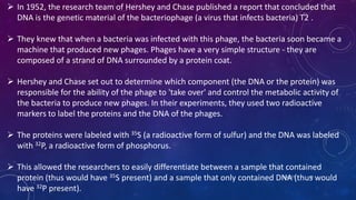  In 1952, the research team of Hershey and Chase published a report that concluded that
DNA is the genetic material of the bacteriophage (a virus that infects bacteria) T2 .
 They knew that when a bacteria was infected with this phage, the bacteria soon became a
machine that produced new phages. Phages have a very simple structure - they are
composed of a strand of DNA surrounded by a protein coat.
 Hershey and Chase set out to determine which component (the DNA or the protein) was
responsible for the ability of the phage to 'take over' and control the metabolic activity of
the bacteria to produce new phages. In their experiments, they used two radioactive
markers to label the proteins and the DNA of the phages.
 The proteins were labeled with 35S (a radioactive form of sulfur) and the DNA was labeled
with 32P, a radioactive form of phosphorus.
 This allowed the researchers to easily differentiate between a sample that contained
protein (thus would have 35S present) and a sample that only contained DNA (thus would
have 32P present).
June 17 16
 