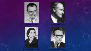 Rosalind Franklin
James Watson Francis Crick
Maurice Wilkins
June 17 27
 