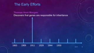 Thomas Hunt Morgan:
Discovers that genes are responsible for inheritance
1865 1909 1911 1929 1944 1950
The Early Efforts
June 17 33
 