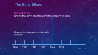 Oswald Avery:
Shows that DNA can transform the property of cells
1865 1909 1911 1929 1944 1950
The Early Efforts
However, this idea was not universally
accepted
June 17 35
 