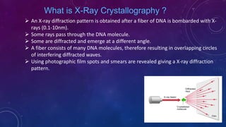 What is X-Ray Crystallography ?
 An X-ray diffraction pattern is obtained after a fiber of DNA is bombarded with X-
rays (0.1-10nm).
 Some rays pass through the DNA molecule.
 Some are diffracted and emerge at a different angle.
 A fiber consists of many DNA molecules, therefore resulting in overlapping circles
of interfering diffracted waves.
 Using photographic film spots and smears are revealed giving a X-ray diffraction
pattern.
June 17 40
 