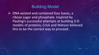 Building Model
 DNA existed and contained four bases, a
ribose sugar and phosphate. Inspired by
Pauling's successful attempts at building 3-D
models of proteins, Crick and Watson believed
this to be the correct way to proceed.
June 17 45
 