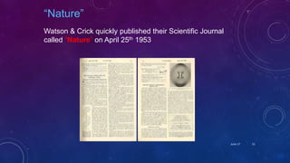 Watson & Crick quickly published their Scientific Journal
called “Nature” on April 25th 1953
“Nature”
June 17 51
 