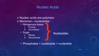 Nucleic Acids
 Nucleic acids are polymers
 Monomer---nucleotides
• Nitrogenous bases
I. Purines
II. Pyrimidines
• Sugar
I. Ribose
II. Deoxyribose
• Phosphates + nucleoside = nucleotide
}Nucleosides
June 17 52
 