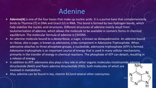 Adenine
 Adenine(A) is one of the four bases that make up nucleic acids. It is a purine base that complementarily
binds to Thymine (T) in DNA and Uracil (U) in RNA. This bond is formed by two hydrogen bonds, which
help stabilize the nucleic acid structures. Different structures of adenine mainly result from
tautomerization of adenine, which allows the molecule to be available in isomeric forms in chemical
equilibrium. The molecular formula of adenine is C5H5N5 .
 An adenine molecule bound to a deoxyribose, a sugar, is known as deoxyadenosine. An adenine bound
to ribose, also a sugar, is known as adenosine, a key component in Adenosine Triphosphate. When
adenosine attaches to three phosphate groups, a nucleotide, adenosine triphosphate (ATP) is formed.
Adenosine triphosphate is an important source of energy that is used in many cellular mechanisms,
primarily in the transfer of energy in chemical reactions. The phosphate of ATP can detach, resulting in
a release of energy.
 In addition to ATP, adenosine also plays a key role in other organic molecules nicotinamide adenine
dinucleotide (NAD) and flavin adenine dinucleotide (FAD), both molecules of which are
involved in metabolism.
 Also, adenine can be found in tea, vitamin B12and several other coenzymes.
June 17 61
 