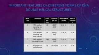 IMPORTANT FEATURES OF DIFFERENT FORMS OF DNA
DOUBLE HELICAL STRUCTURES
Helix
Type
Conditions Base
per
turn
Rotation
per bp
Vertical Rise
per bp
Helical
Diamete
r
A 75% relative
humidity; Na+
K+,Cs- ions
11 +32.7o
(RH)
2.56 Ao 23 Ao
B 92% relative
humidity, low
ionic strength
10 +36.0o
(RH)
3.38 Ao 19 Ao
C 66% relative
humidity, Li+ ions
9.33 +38.6o
(RH)
3.32 Ao 19 Ao
Z Very lilght salt
concentration
12 -30.0o (LH) 3.71 Ao 18 Ao
June 17 75
 