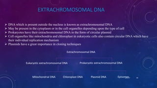 EXTRACHROMOSOMAL DNA
 DNA which is present outside the nucleus is known as extrachromosomal DNA
 May be present in the cytoplasm or in the cell organelles depending upon the type of cell
 Prokaryotes have their extrachromosomal DNA in the form of circular plasmid
 Cell organelles like mitochondria and chloroplast in eukaryotic cells also contain circular DNA which have
their individual replication mechanism
 Plasmids have a great importance in cloning techniques
Extrachromosomal DNA
Eukaryotic extrachromosomal DNA Prokaryotic extrachromosomal DNA
Mitochondrial DNA Chloroplast DNA Plasmid DNA EpisomesJune 17 80
 