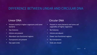 DIFFERENCE BETWEEN LINEAR AND CIRCULAR DNA
Linear DNA
• Present mainly in higher organisms and some
bacteria
• Has histones
• Introns are present
• Abundant non-functional regions
• Transposons are present
• Has open ends
Circular DNA
• Present in many bacteria and some cell
organelles of higher organisms
• No histones
• Introns are absent
• Fewer non-functional regions
• No transposons
• Ends are closed
June 17 89
 