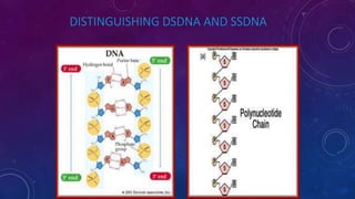DISTINGUISHING DSDNA AND SSDNA
 
