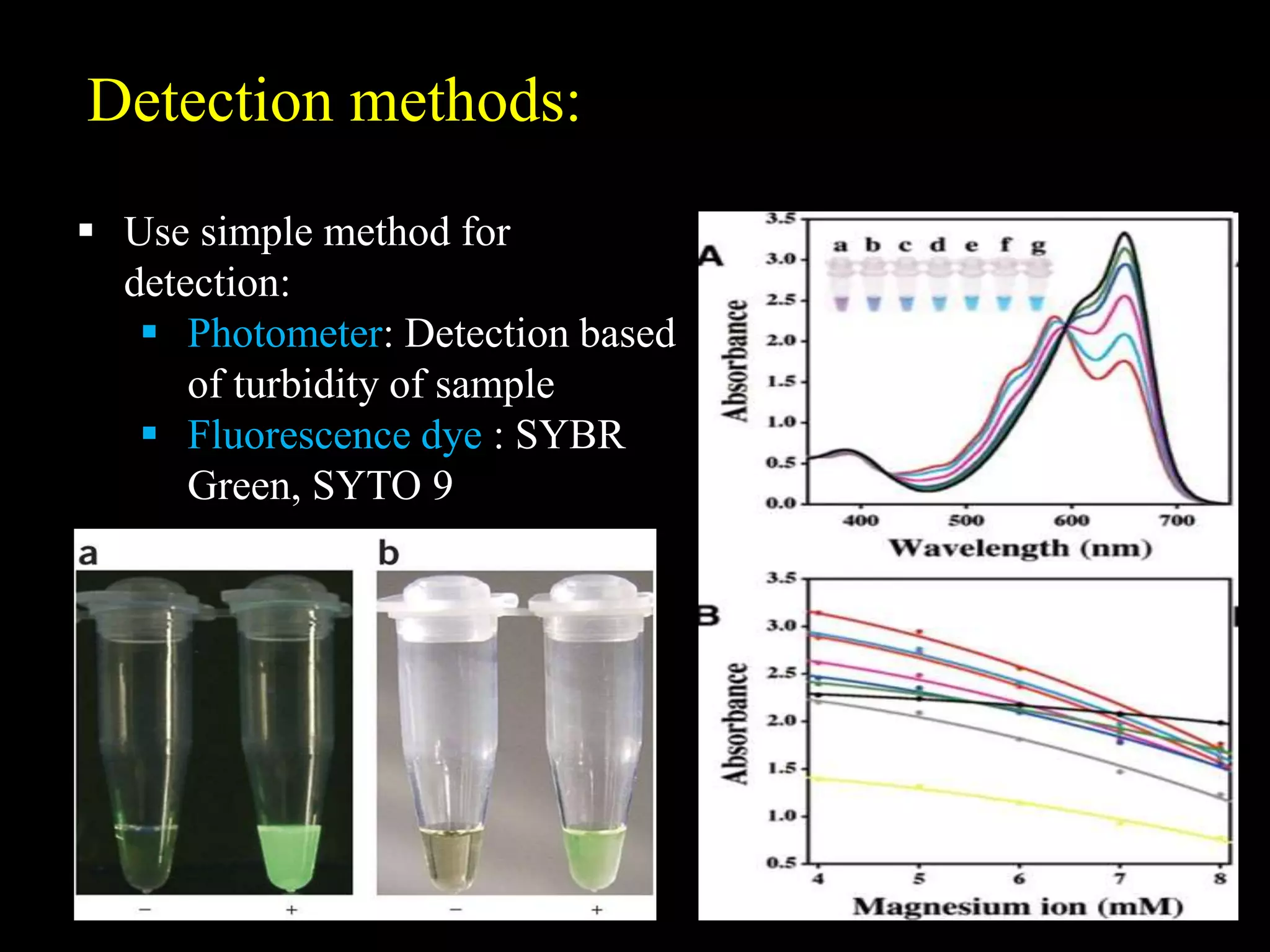 Phyotometer Method Molecular Techniques For Disease Diagnosis | PPTX