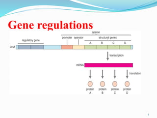 Gene regulations
5
 