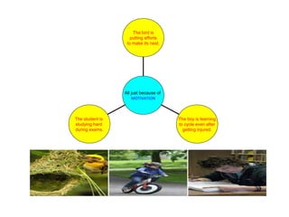 The student is
studying hard
during exams.
The boy is learning
to cycle even after
getting injured.
The bird is
putting efforts
to make its nest.
All just because of
MOTIVATION
 