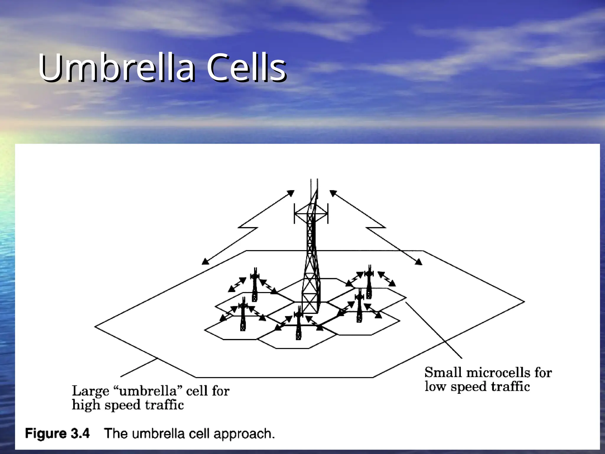 Umbrella Cells
Umbrella Cells
 