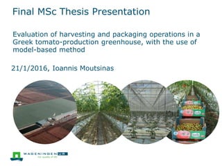 Final MSc Thesis Presentation
Evaluation of harvesting and packaging operations in a
Greek tomato-production greenhouse, with the use of
model-based method
21/1/2016, Ioannis Moutsinas
 