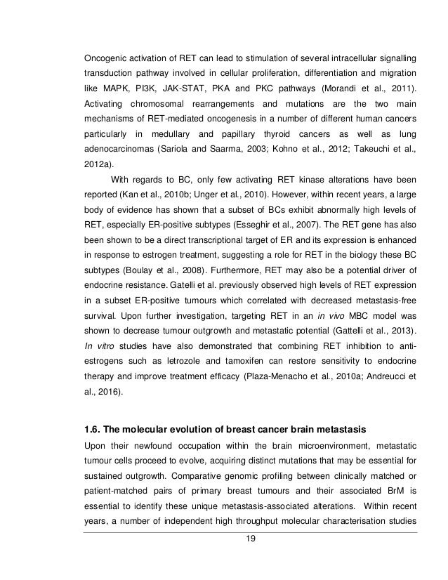 Phd thesis on breast cancer image