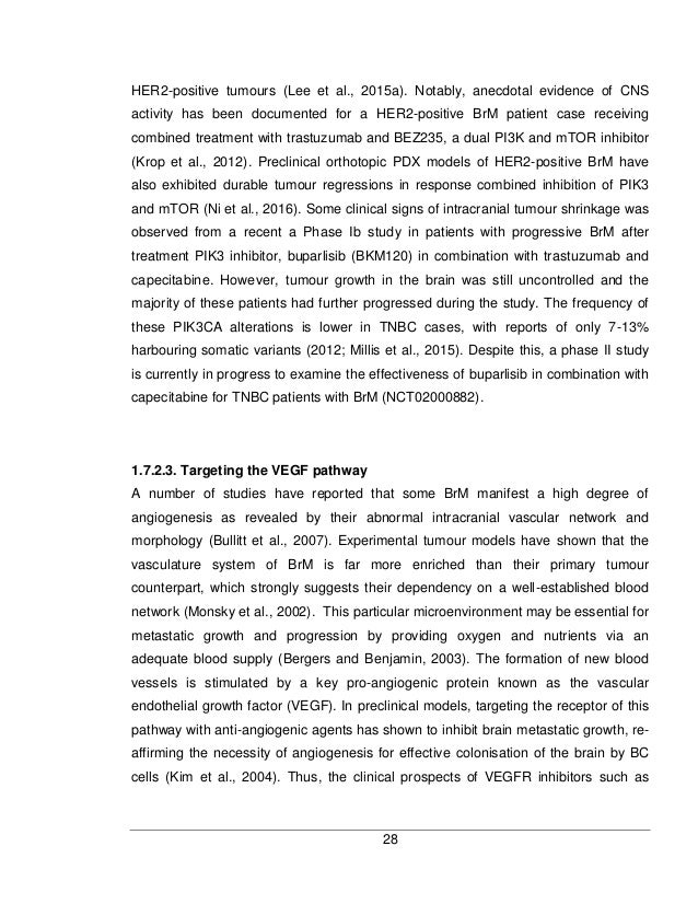 Phd thesis on cancer image