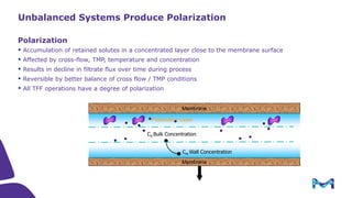Introduction to Tangential Flow Filtration (TFF)