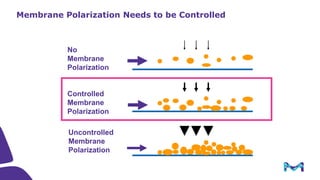 Introduction to Tangential Flow Filtration (TFF)