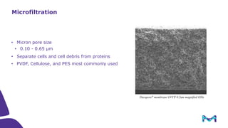 Introduction to Tangential Flow Filtration (TFF)