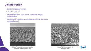 Introduction to Tangential Flow Filtration (TFF)