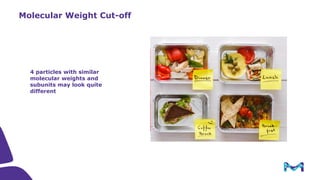 Introduction to Tangential Flow Filtration (TFF)