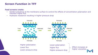 Introduction to Tangential Flow Filtration (TFF)