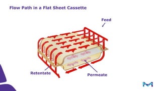 Introduction to Tangential Flow Filtration (TFF)