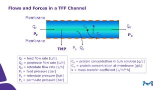 Introduction to Tangential Flow Filtration (TFF)