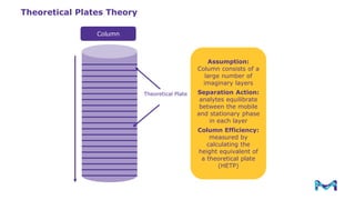 Process Scale Chromatography