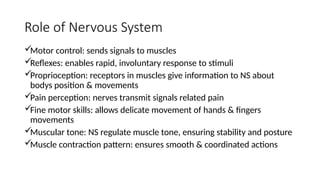 Role of Nervous System
Motor control: sends signals to muscles
Reflexes: enables rapid, involuntary response to stimuli
Proprioception: receptors in muscles give information to NS about
bodys position & movements
Pain perception: nerves transmit signals related pain
Fine motor skills: allows delicate movement of hands & fingers
movements
Muscular tone: NS regulate muscle tone, ensuring stability and posture
Muscle contraction pattern: ensures smooth & coordinated actions
 