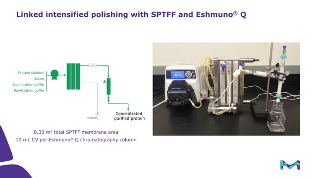 Sptff Flow Path Single-Pass Tangential Flow Filtration (SPTFF) Theory and Practice ...