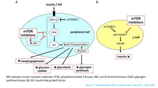 Comparison of Glucose and Hemoglobin Concentration in Transplant ...
