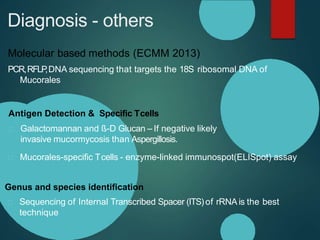 Diagnosis - others
Genus and species identification
Molecular based methods (ECMM 2013)
PCR,RFLP
,DNA sequencing that targets the 18S ribosomal DNA of
Mucorales
Antigen Detection & Specific Tcells
Galactomannan and ß-D Glucan – If negative likely
invasive mucormycosis than Aspergillosis.
Mucorales-specific Tcells - enzyme-linked immunospot(ELISpot) assay
Sequencing of Internal Transcribed Spacer (ITS)of rRNA is the best
technique
 