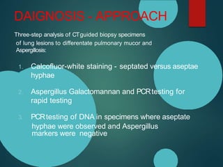 DAIGNOSIS - APPROACH
Three-step analysis of CTguided biopsy specimens
of lung lesions to differentate pulmonary mucor and
Aspergillosis:
1. Calcofluor-white staining - septated versus aseptae
hyphae
2. Aspergillus Galactomannan and PCRtesting for
rapid testing
3. PCRtesting of DNA in specimens where aseptate
hyphae were observed and Aspergillus
markers were negative
 