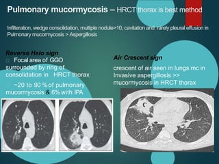 Pulmonary mucormycosis – HRCT thorax is best method
Infilteration, wedge consolidation, multiple nodule>10, cavitation and rarely pleural effusion in
Pulmonary mucormycosis > Aspergillosis
Reverse Halo sign
Air Crescent sign
crescent of air seen in lungs mc in
Invasive aspergillosis >>
mucormycosis in HRCT thorax
Focal area of GGO
surrounded by ring of
consolidation in HRCT thorax
~20 to 90 %of pulmonary
mucormycosis & 6% with IPA
 