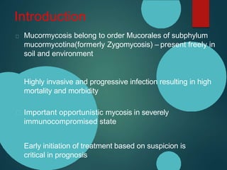Introduction
Mucormycosis belong to order Mucorales of subphylum
mucormycotina(formerly Zygomycosis) – present freely in
soil and environment
Highly invasive and progressive infection resulting in high
mortality and morbidity
Important opportunistic mycosis in severely
immunocompromised state
Early initiation of treatment based on suspicion is
critical in prognosis
 
