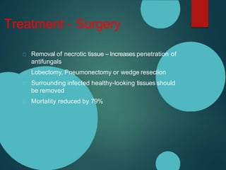 Treatment - Surgery
Removal of necrotic tissue – Increases penetration of
antifungals
Lobectomy, Pneumonectomy or wedge resection
Surrounding infected healthy-looking tissues should
be removed
Mortality reduced by 79%
 