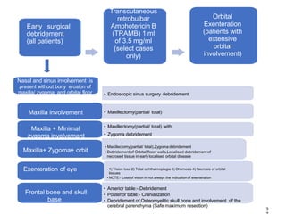 Early surgical
debridement
(all patients)
Transcutaneous
retrobulbar
Amphotericin B
(TRAMB) 1 ml
of 3.5 mg/ml
(select cases
only)
Orbital
Exenteration
(patients with
extensive
orbital
involvement)
• Endoscopic sinus surgery debridement
Nasal and sinus involvement is
present without bony erosion of
maxilla/ zygoma and orbital floor
• Maxillectomy(partial/ total)
Maxilla involvement
• Maxillectomy(partial/ total) with
• Zygoma debridement
Maxilla + Minimal
zygoma involvement
• Maxillectomy(partial/ total),Zygoma debridement
• Debridement of Orbital floor/ walls,Localised debridement of
necrosed tissue in earlylocalised orbital disease
Maxilla+ Zygoma+ orbit
• 1) Vision loss 2) Total ophthalmoplegia 3) Chemosis 4) Necrosis of orbital
tissues
• NOTE:- Loss of vision in not always the indicationof exenteration
Exenteration of eye
• Anterior table:- Debridement
• Posterior table:- Cranialization
• Debridement of Osteomyelitic skull bone and involvement of the
cerebral parenchyma (Safe maximum resection)
Frontal bone and skull
base
3
 