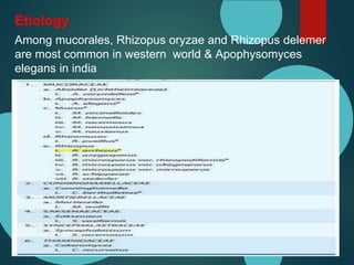 Etiology
Among mucorales, Rhizopus oryzae and Rhizopus delemer
are most common in western world & Apophysomyces
elegans in india
 