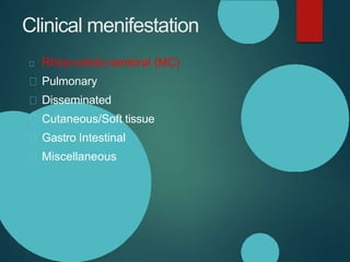 Clinical menifestation
Rhino-orbito-cerebral (MC)
Pulmonary
Disseminated
Cutaneous/Soft tissue
Gastro Intestinal
Miscellaneous
 