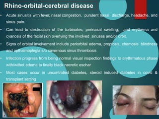Rhino-orbital-cerebral disease
• Acute sinusitis with fever, nasal congestion, purulent nasal discharge, headache, and
sinus pain.
• Can lead to destruction of the turbinates, perinasal swelling, and erythema and
cyanosis of the facial skin overlying the involved sinuses and/or orbit.
• Signs of orbital involvement include periorbital edema, proptosis, chemosis blindness
and opthalmoplegia s/o cavernous sinus thrombosis
• Infection progress from being normal visual inspection findings to erythrmatous phase
with/withot edema to finally black necrotic eschar
• Most cases occur in uncontrolled diabetes, steroid induced diabetes in covid &
transplant setting
 